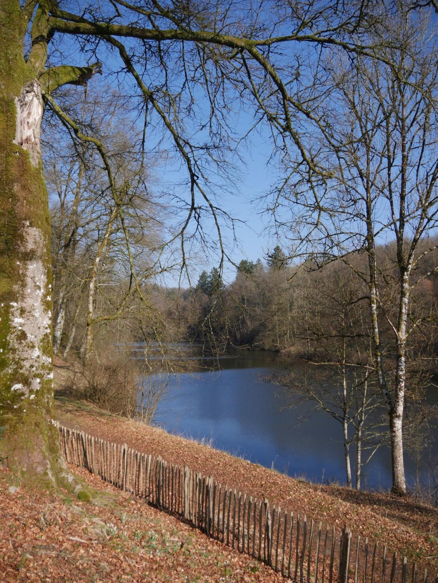 Chateau Du Pont D'Oye Habay-la-Neuve Esterno foto